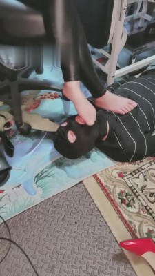 【西安欣】踩踏脚垫/强制喂食 bf12095