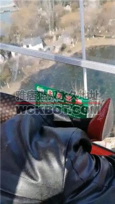 【乐姐】摩天轮给狗废物上课 JS2402013-2