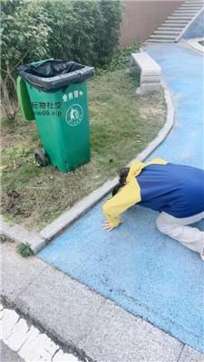 【小凤梨】户外玩虐小贱闺蜜奴 bf47555